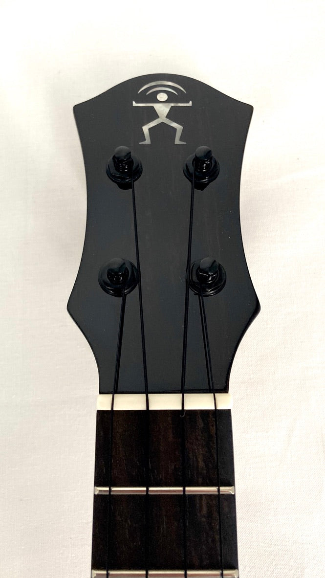 aNueNue UC3K Bird Concert