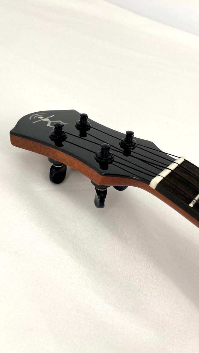 aNueNue UC3K Bird Concert