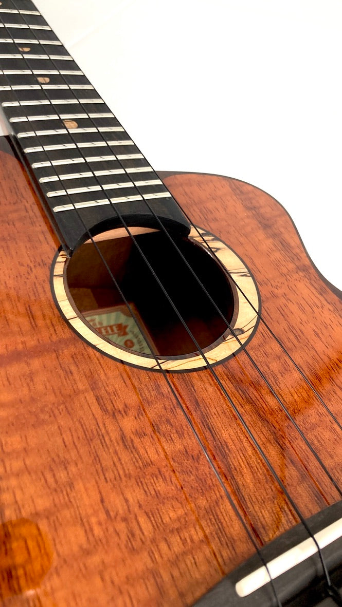 aNueNue UC3K Bird Concert