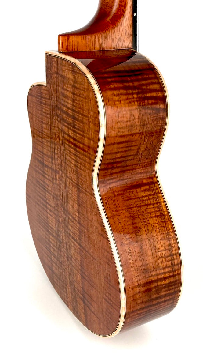 aNueNue UC5K Bird Concert