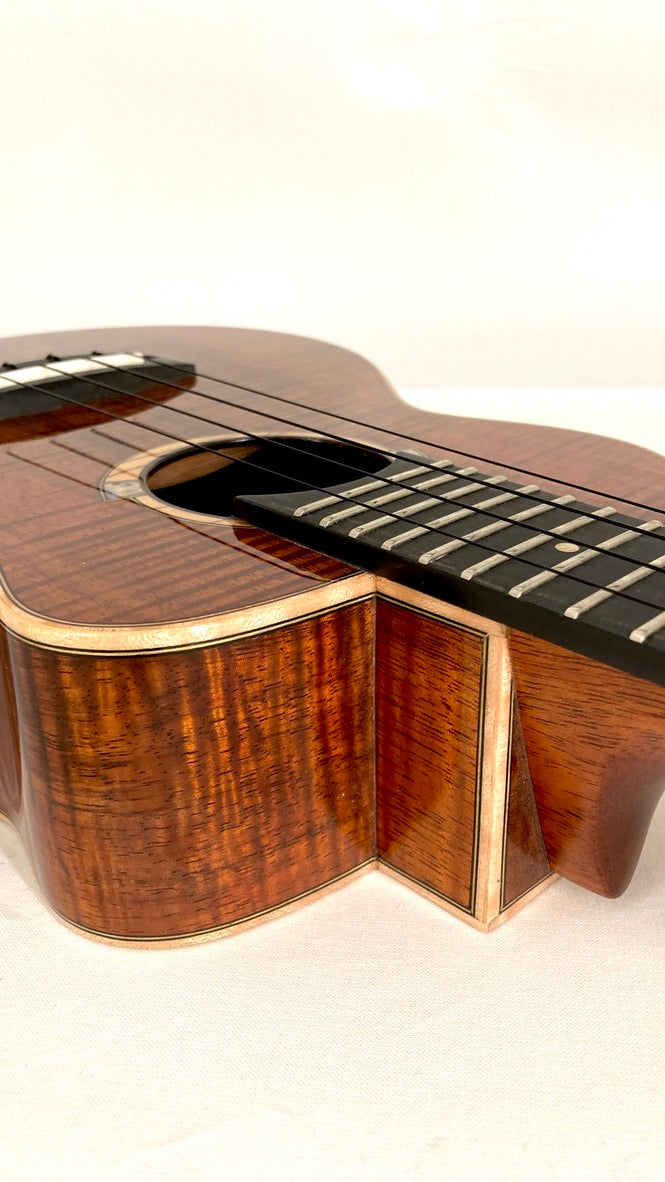 aNueNue UC5K Bird Concert