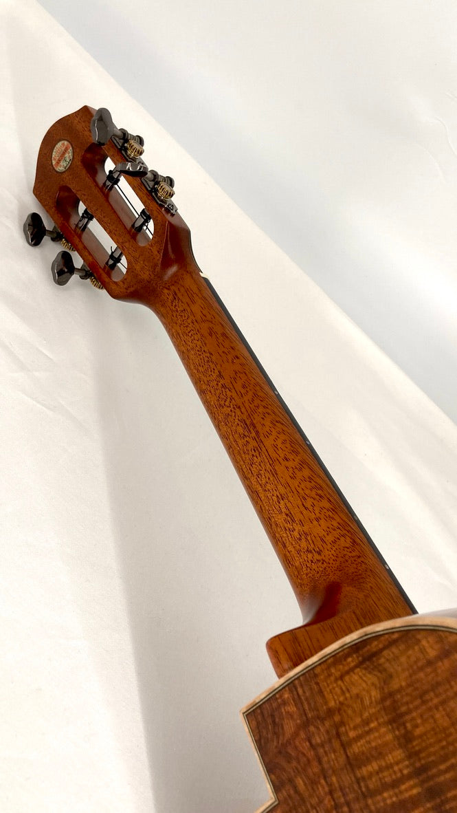 aNueNue UC5K Bird Concert