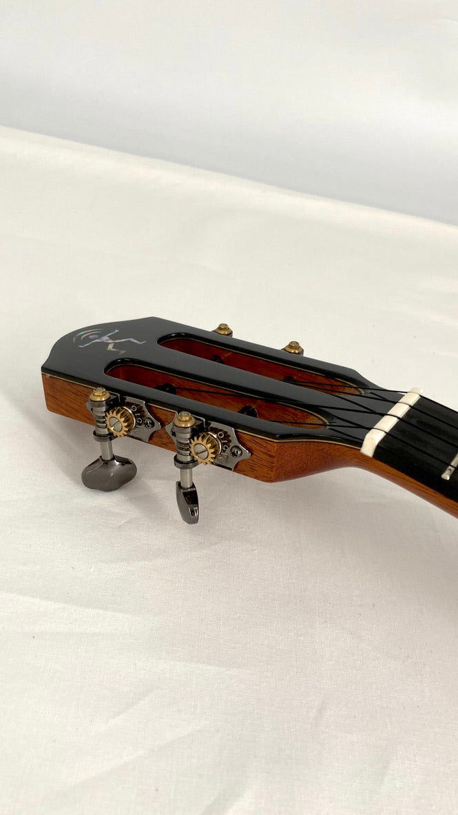 aNueNue UC5K Bird Concert