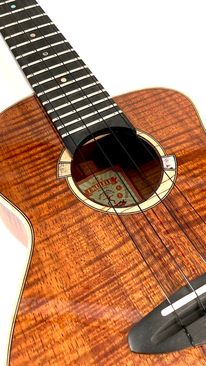 aNueNue UC5K Bird Concert