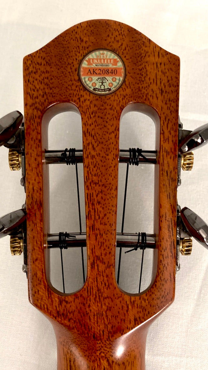 aNueNue UC5K Bird Concert