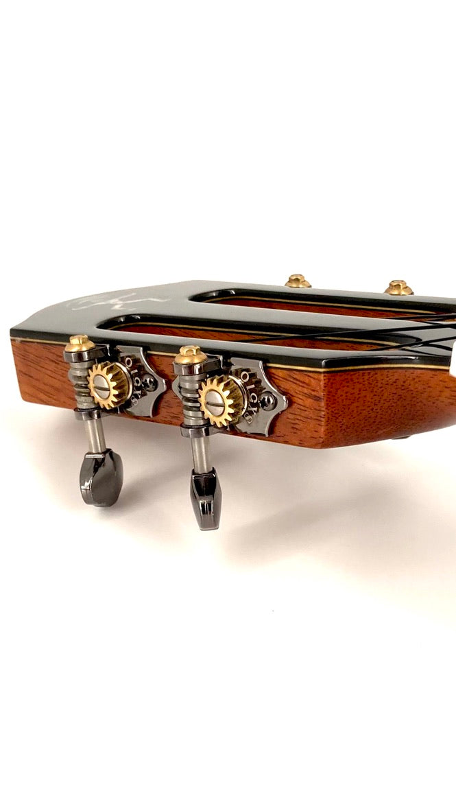 aNueNue UC5K Bird Concert