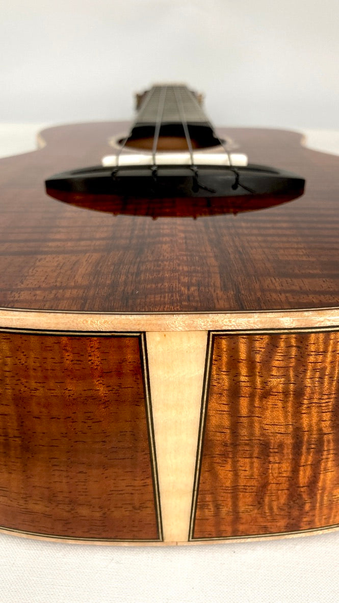 aNueNue UC5K Bird Concert