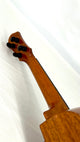 aNueNue US100 Sitka Bird Sopran