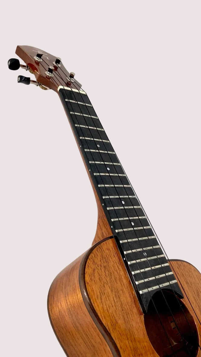 aNueNue US1K Koa Bird Sopran