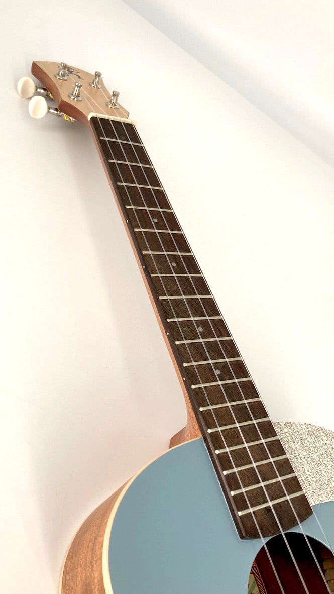 aNueNue UT-10 BA Tenor