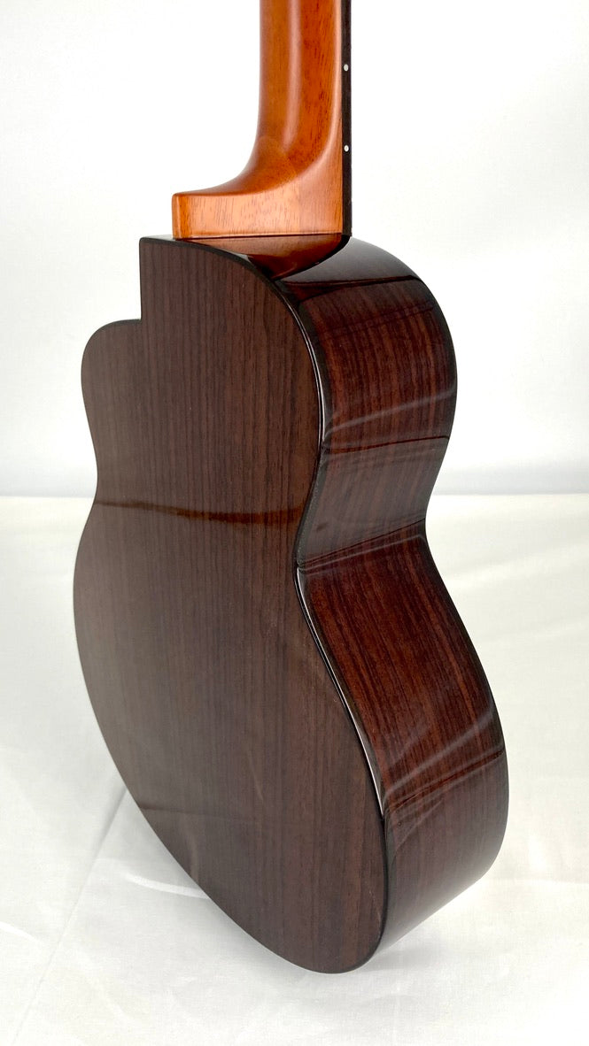 aNueNue UT200E Moonbird Tenor mit Pickup