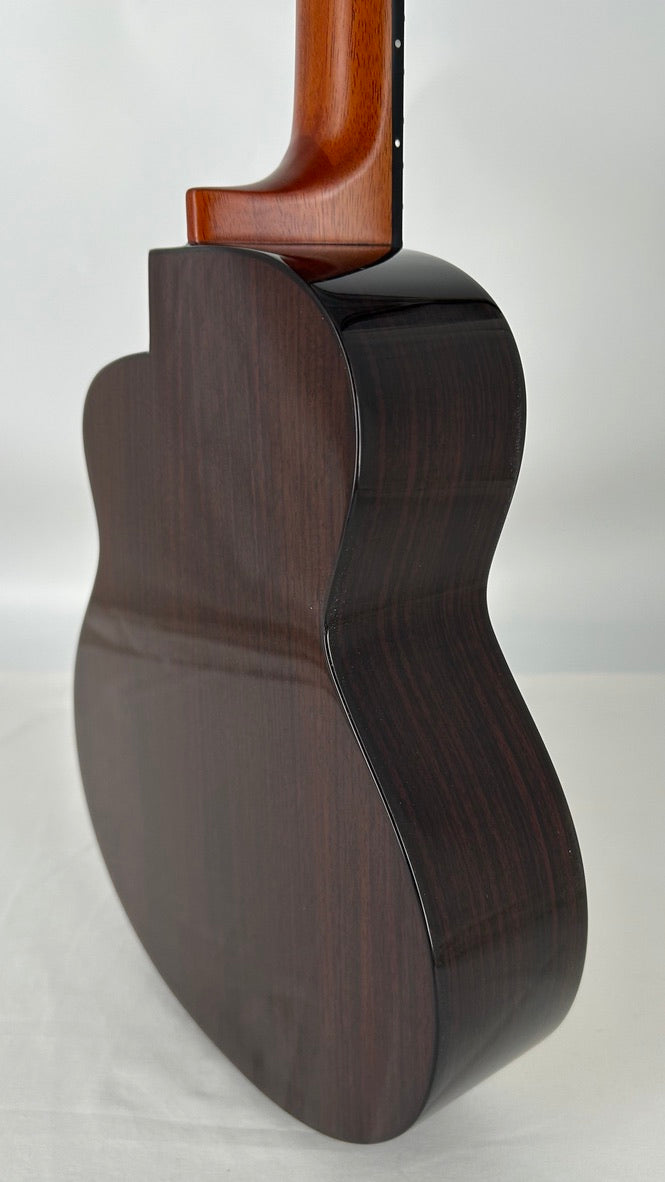 aNueNue UT200E Moonbird Tenor mit Pickup