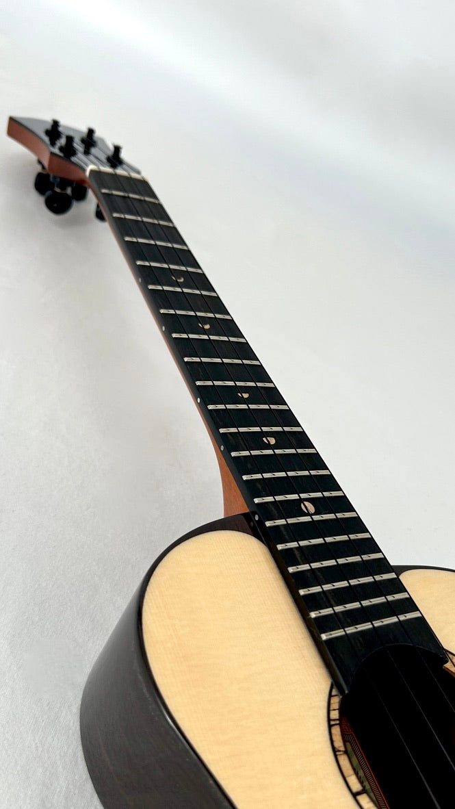 aNueNue UT200E Moonbird Tenor mit Pickup
