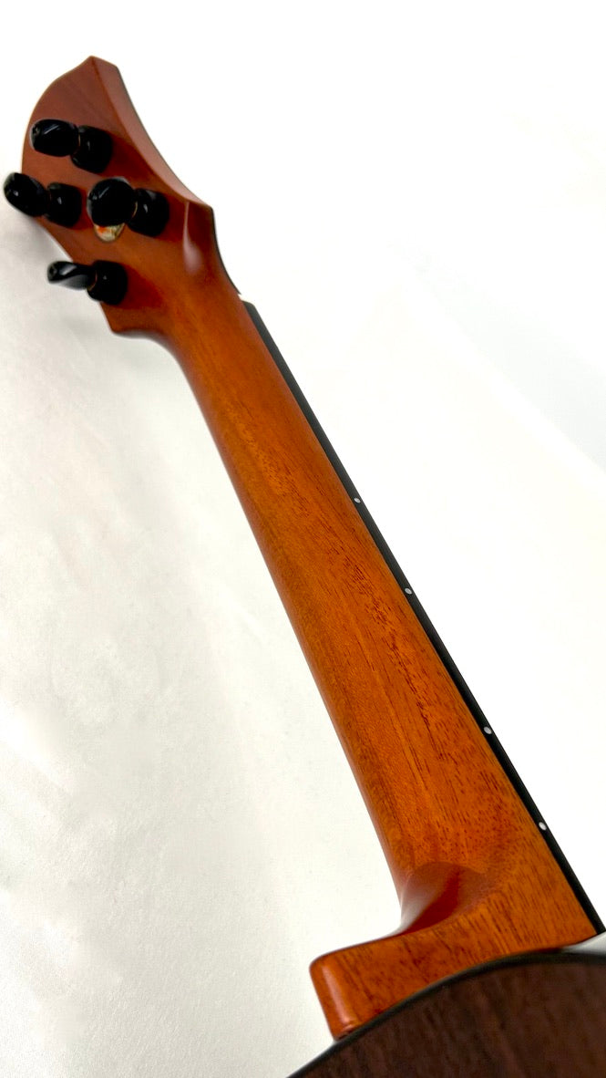 aNueNue UT200E Moonbird Tenor mit Pickup