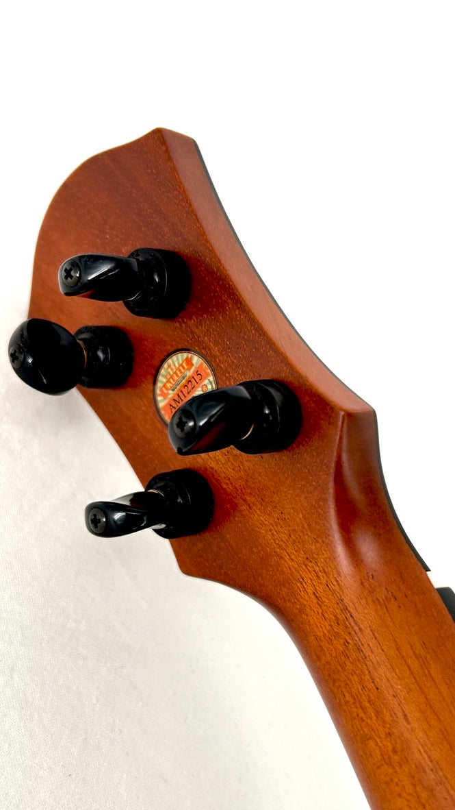 aNueNue UT200E Moonbird Tenor mit Pickup