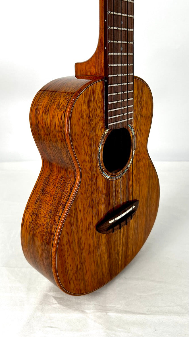 aNueNue AKK2E Concert mit Pickup