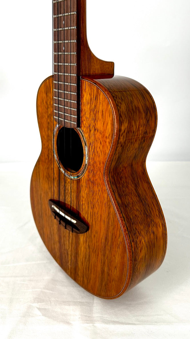 aNueNue AKK2E Concert mit Pickup