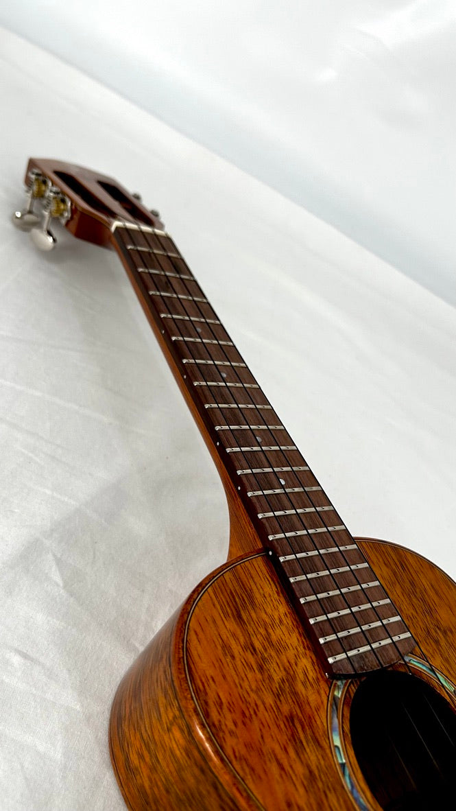 aNueNue AKK2E Concert mit Pickup