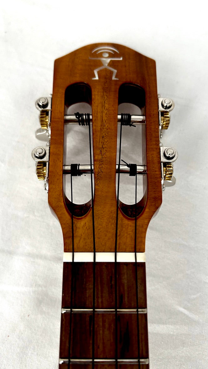 aNueNue AKK2E Concert mit Pickup