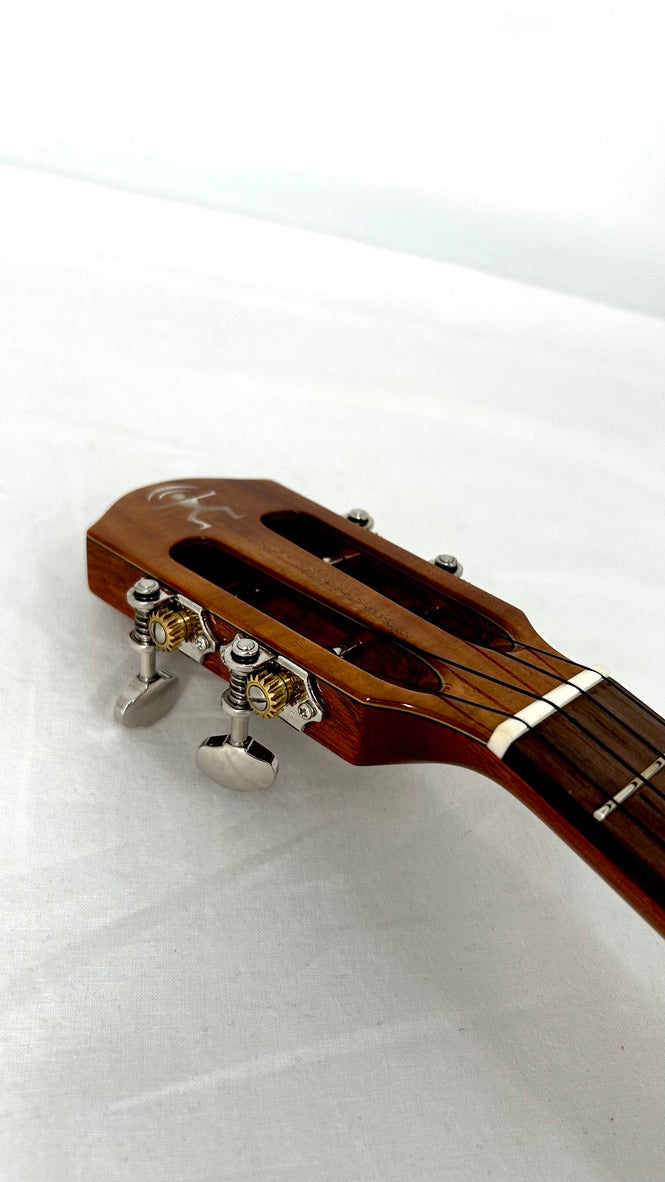 aNueNue AKK2E Concert mit Pickup