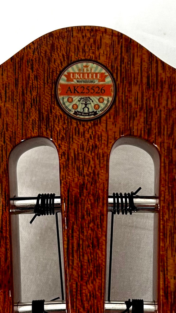 aNueNue AKK2E Concert mit Pickup