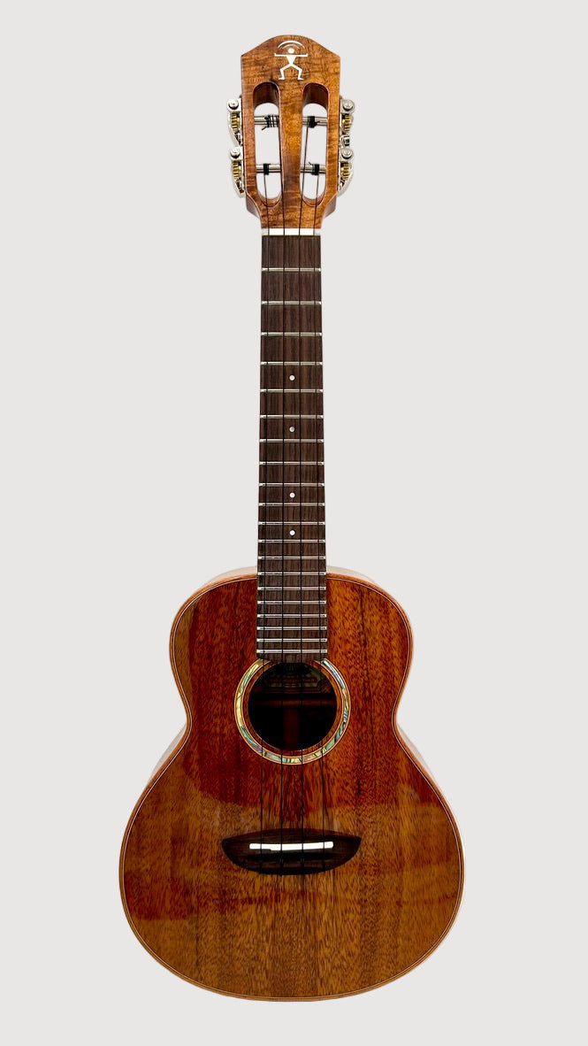 aNueNue AKK2E Concert mit Pickup