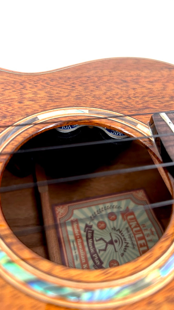 aNueNue AKK2E Concert mit Pickup