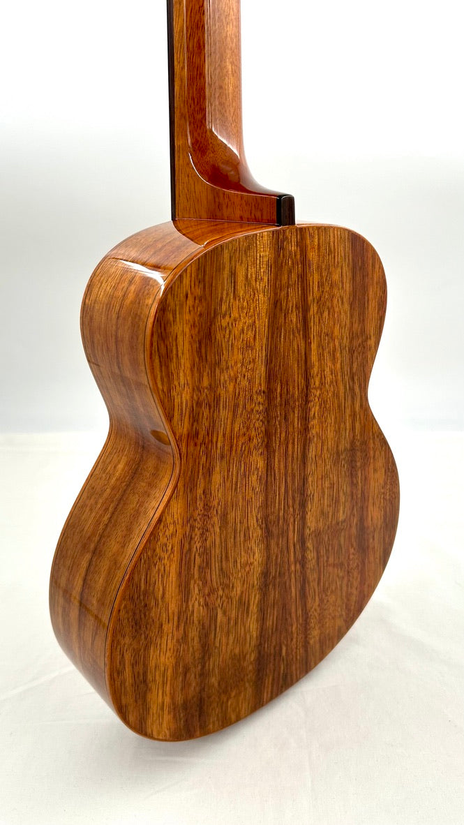 aNueNue AKK3E Tenor mit Pickup