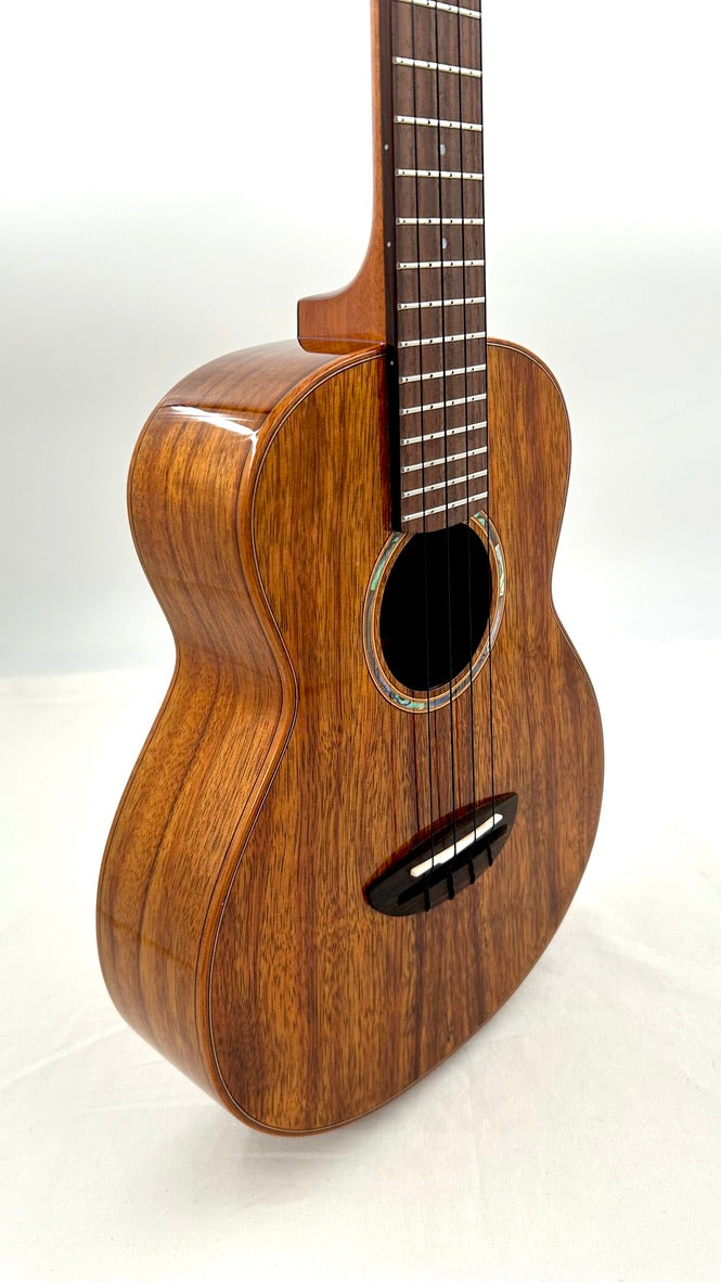 aNueNue AKK3E Tenor mit Pickup