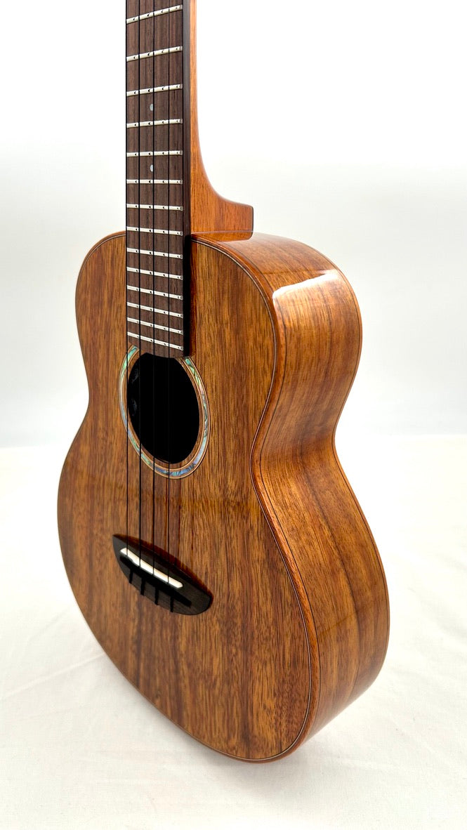 aNueNue AKK3E Tenor mit Pickup