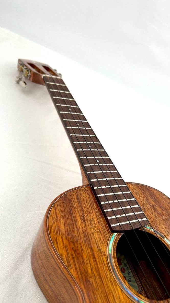 aNueNue AKK3E Tenor mit Pickup