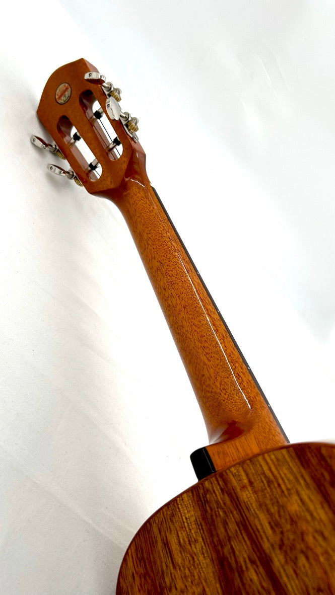 aNueNue AKK3E Tenor mit Pickup