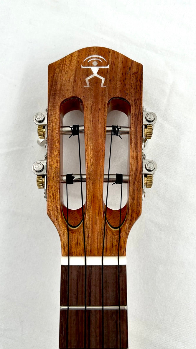 aNueNue AKK3E Tenor mit Pickup