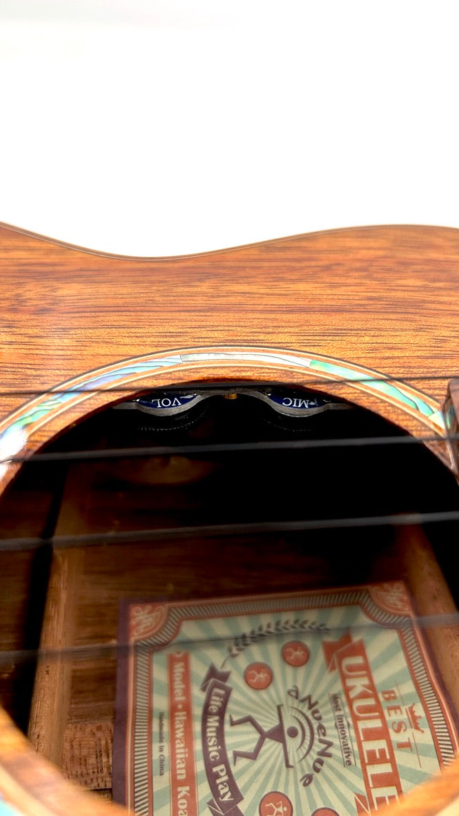 aNueNue AKK3E Tenor mit Pickup