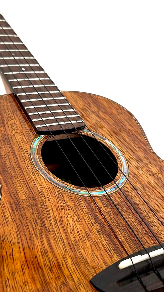 aNueNue AKK3E Tenor mit Pickup