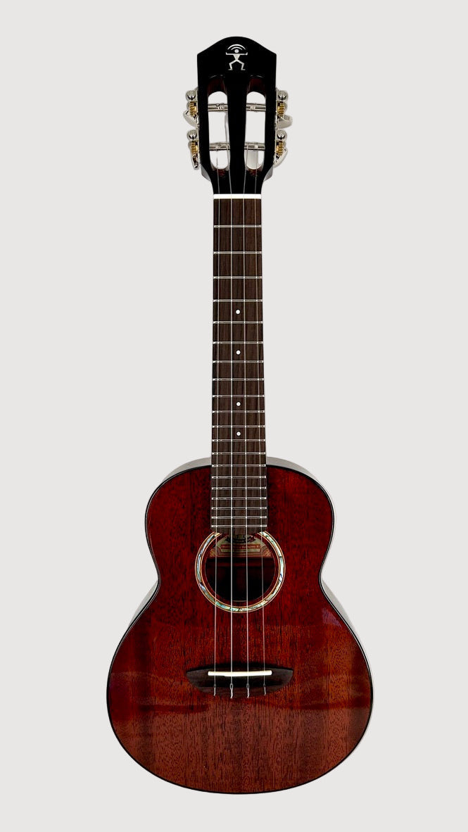 aNueNue AMM2E Concert mit Pickup