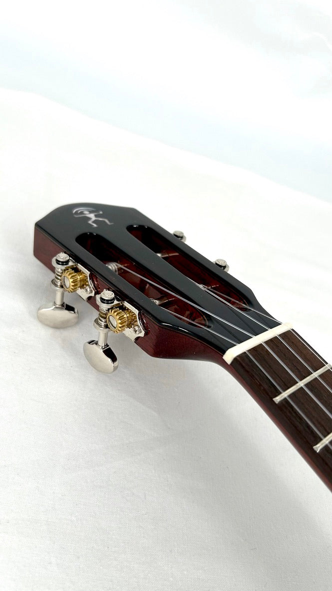 aNueNue AMM2E Concert mit Pickup