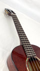 aNueNue AMM3E Tenor mit Pickup