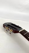 aNueNue AMM3E Tenor mit Pickup