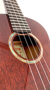 aNueNue AMM3E Tenor mit Pickup