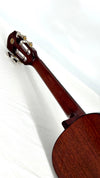 aNueNue AMM3 Tenor