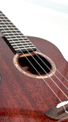 aNueNue AMM3 Tenor