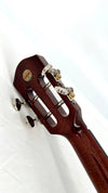 aNueNue AMM3 Tenor
