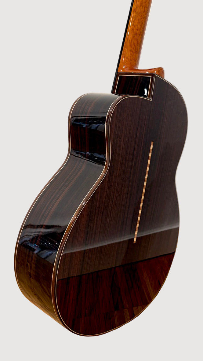 aNueNue LS700 Gitarre