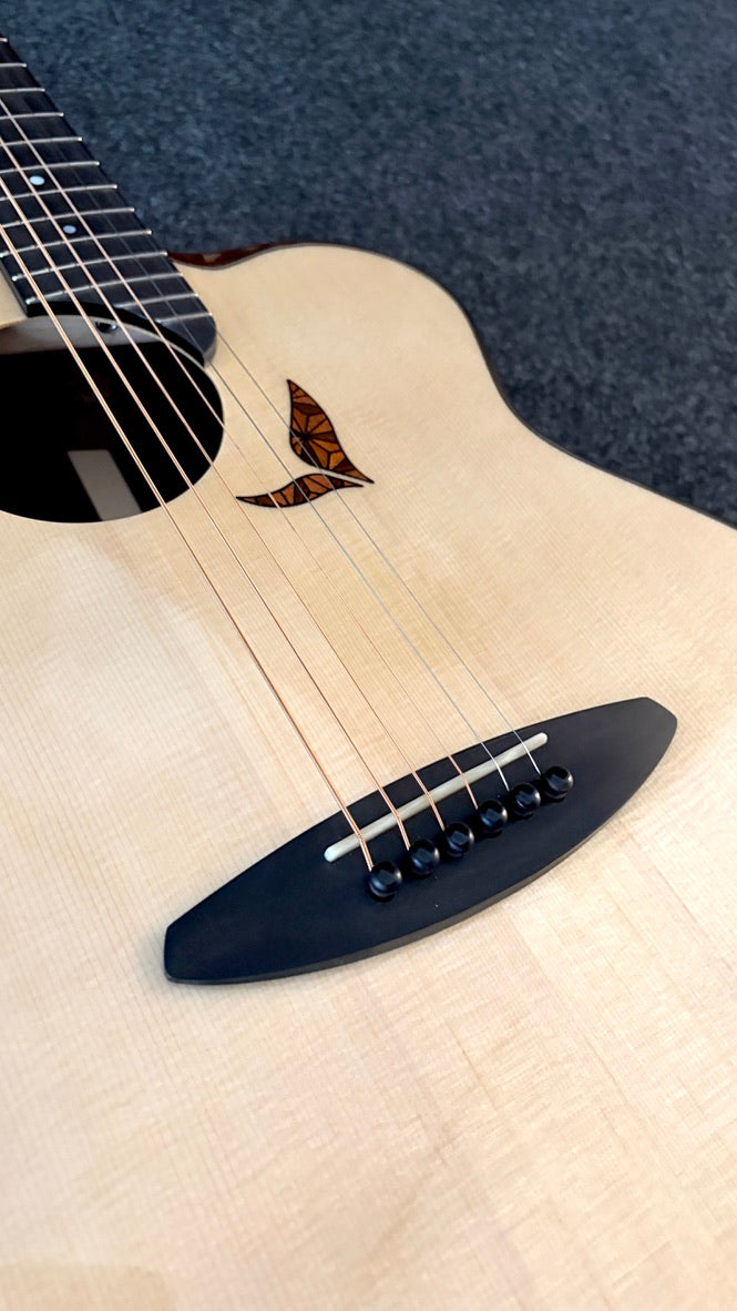 aNueNue LS700 Gitarre