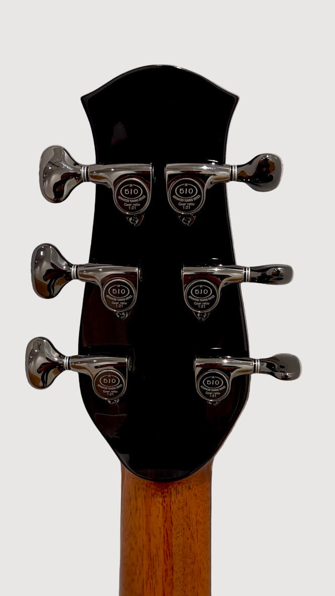 aNueNue LS700 Gitarre