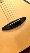 aNueNue M200E Travel Guitar