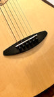 aNueNue M200E Travel Guitar