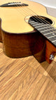 aNueNue M200E Travel Guitar