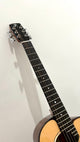aNueNue M200E Travel Guitar